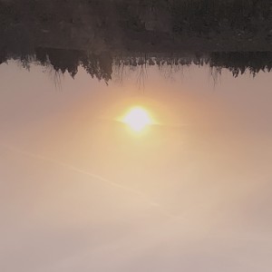 176****5608的钢琴谱