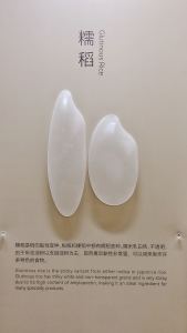 春节序曲的演奏视频