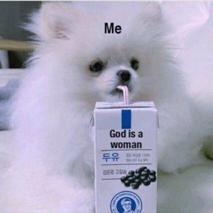 嘉宾的演奏视频