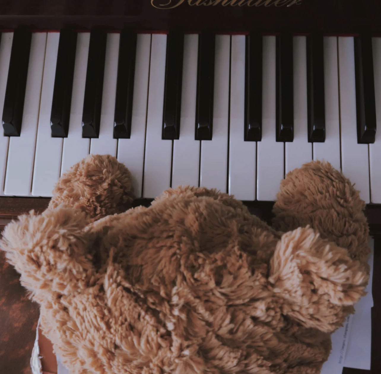会弹琴的小熊的钢琴谱