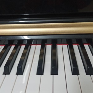 孤勇者的演奏视频