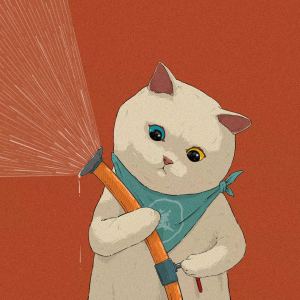 Summer的演奏视频