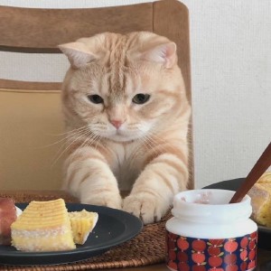 I Believe的演奏视频