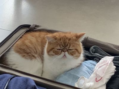 Summer的演奏视频