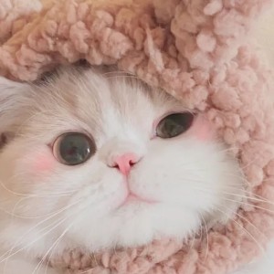 *的钢琴谱