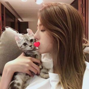 He's A Pirate的演奏视频