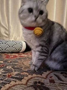 滚滚红尘的演奏视频