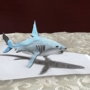 彩云追月的演奏视频