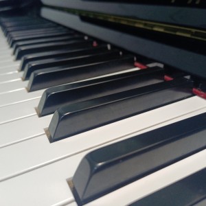 孤勇者的演奏视频