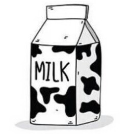 鲑鱼的个人空间