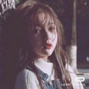 晚夜微雨问海棠的演奏视频