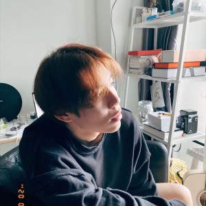 朱雀的演奏视频