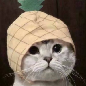 189****4456的钢琴谱