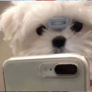 下潜的演奏视频