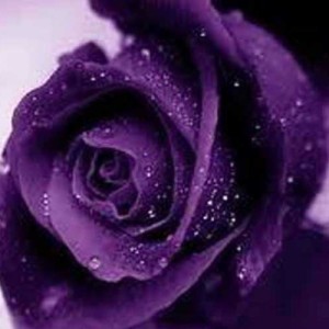 秋日私语的演奏视频