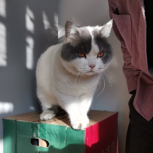 176****0119的个人空间