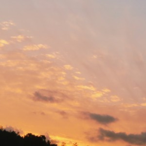 女儿情的演奏视频