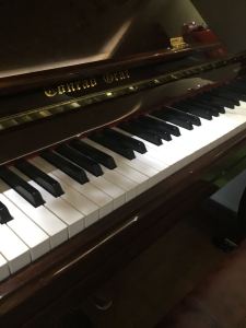 Croatian Rhapsody的演奏视频