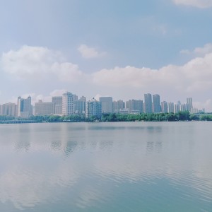 迷路的海星
