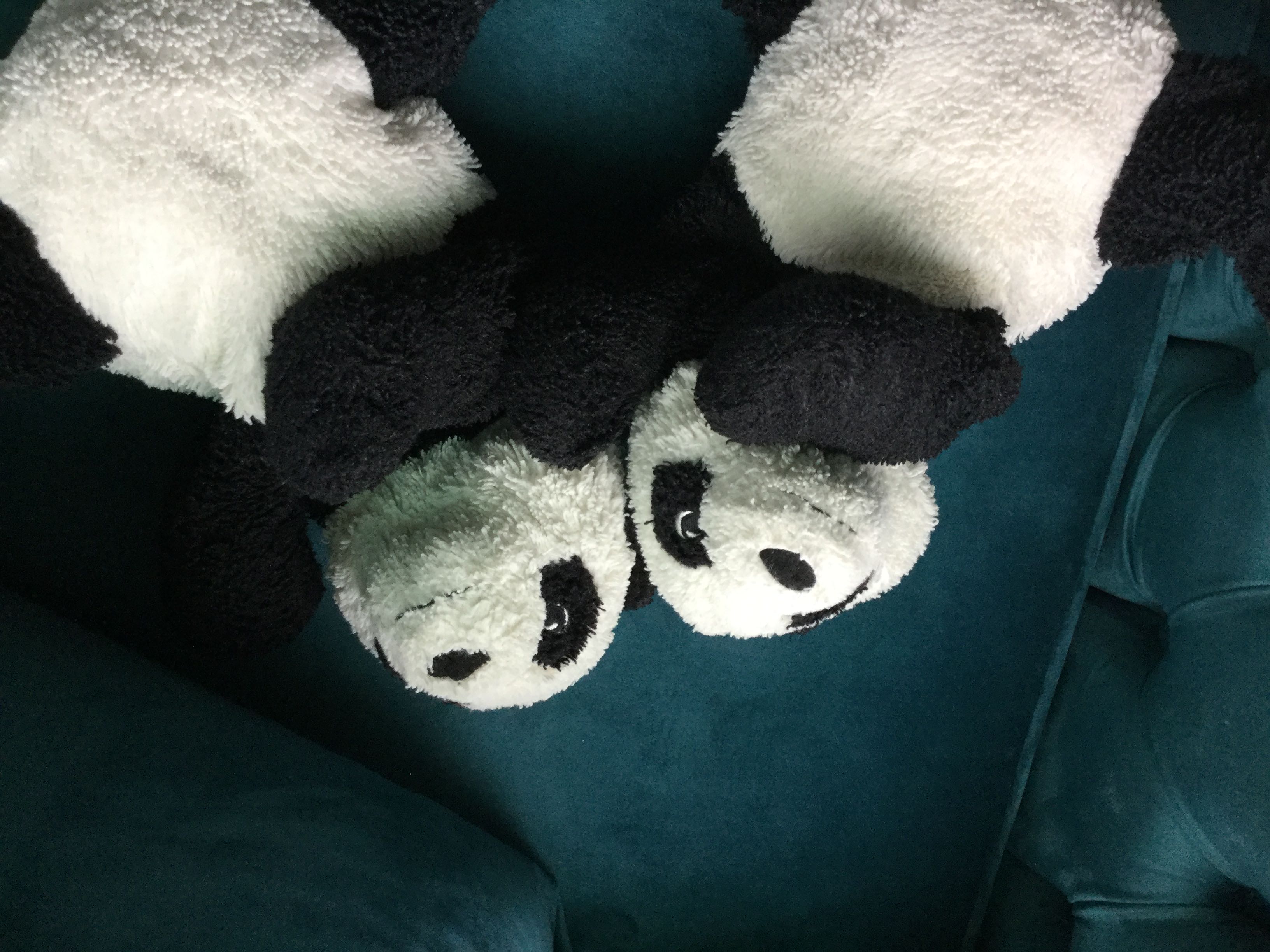 风火熊猫🔥的个人空间