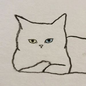 J的钢琴谱