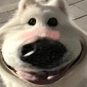 156****0527的钢琴谱