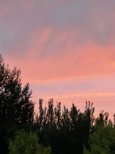 Summer的演奏视频