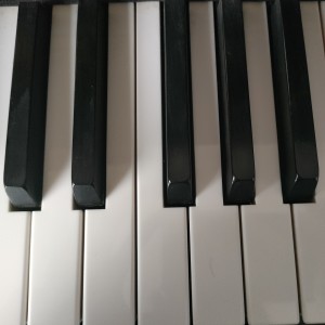 的演奏视频