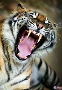 两个人不等于我们的演奏视频