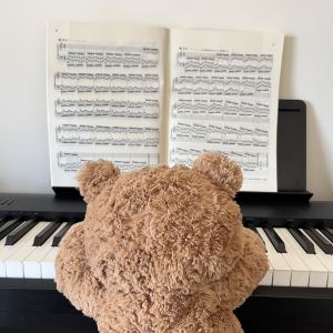 梦中的婚礼的演奏视频