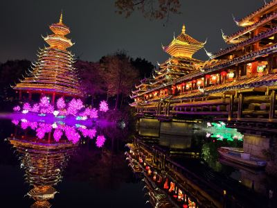 小步舞曲的演奏视频