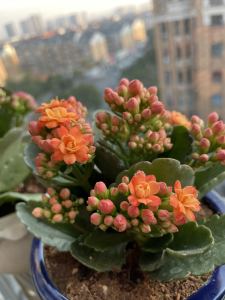 悠然的个人空间