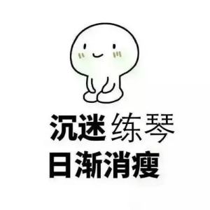 夜莺的演奏视频