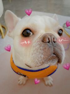 人世间的演奏视频