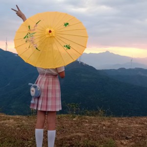 所念皆星河的演奏视频