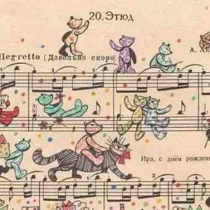 卿卿日常片头曲的演奏视频