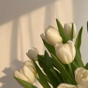 风居住的街道的演奏视频