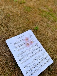 阳光宝贝的钢琴谱
