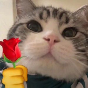 131****9203的个人空间