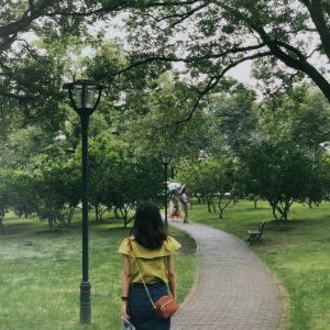 晴天的演奏视频