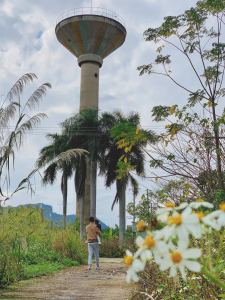 爱看猫吃鱼的钢琴谱