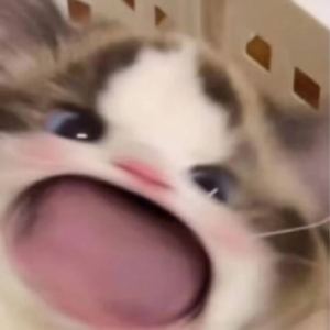 Lullaby (Enzalla)的演奏视频