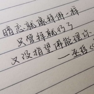 晚夜微雨问海棠的演奏视频