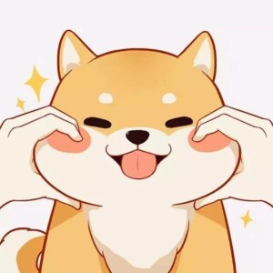 土耳其进行曲的演奏视频