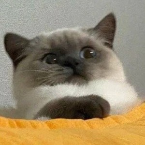199****0824的钢琴谱