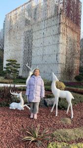 漠河舞厅的演奏视频