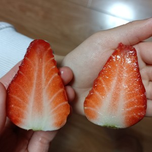 時代を越える想い的演奏视频