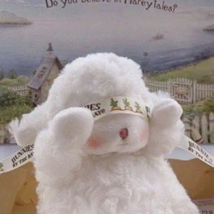 Croatian Rhapsody的演奏视频