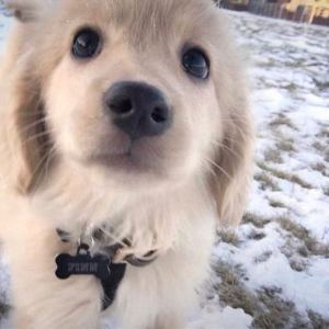 夜的钢琴曲一的演奏视频