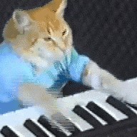 的演奏视频